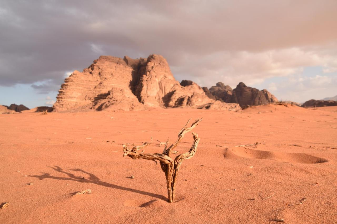 Art Camp Wadi Rum Esterno foto
